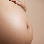 Estudo busca eliminar transmissão vertical de vírus que causa leucemia