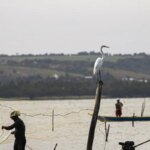 Gestão do seguro-defeso passa oficialmente ao Ministério do Trabalho