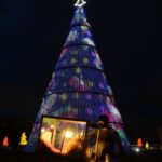 Cesta de Natal deverá ter alta de 4,5%, abaixo da inflação de 2024