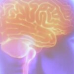 Projeto Ártemis avalia genética de pacientes que sofreram AVC