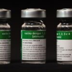 Aplicação da vacina da dengue do Butantan começará a partir do dia 17